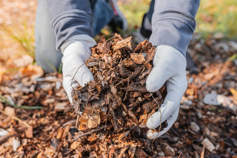 Organic material prepared for sustainable food manufacturing practices