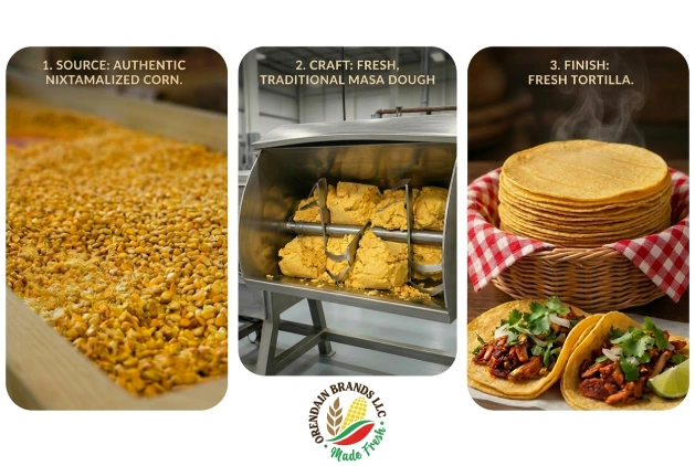 Nixtamalized corn, fresh masa dough preparation, and finished corn tortillas